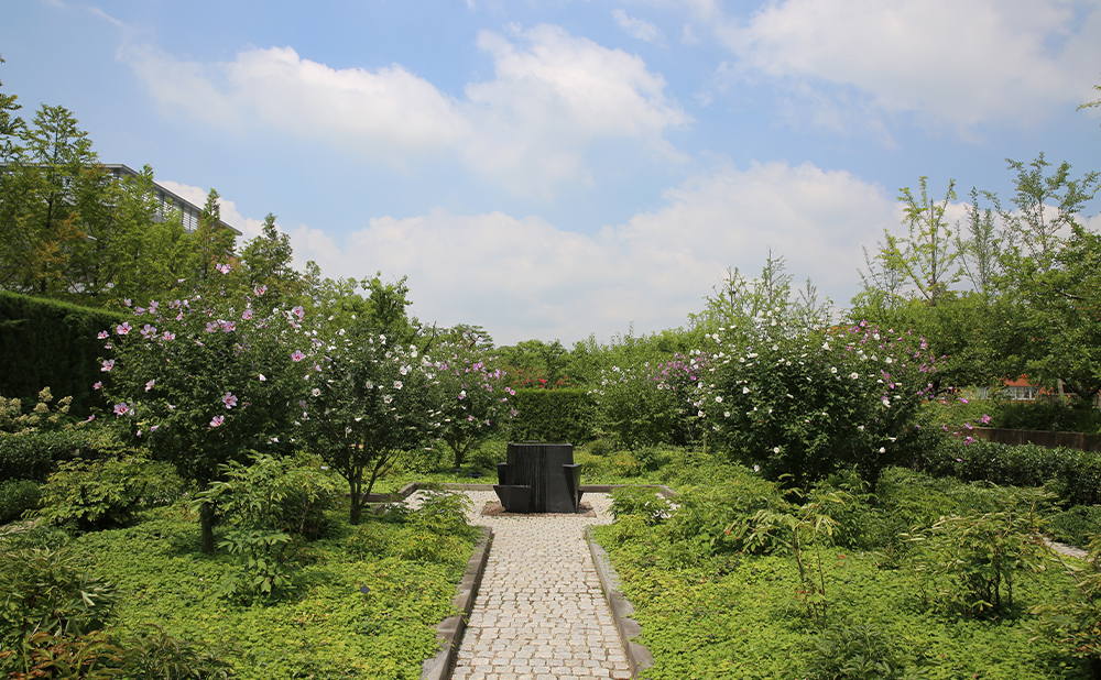 原料植物园