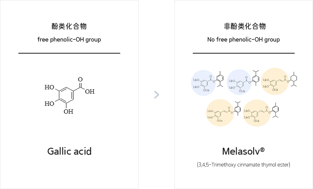 Melasolve：为安全美白献力